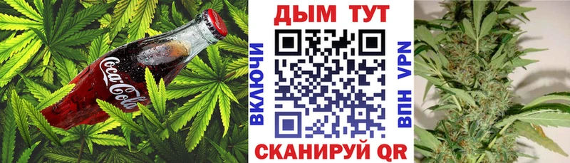 Купить закладки  Малмыж  Canna-Cookies конопля 