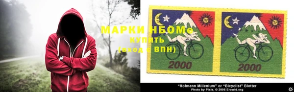 соль ск Бородино