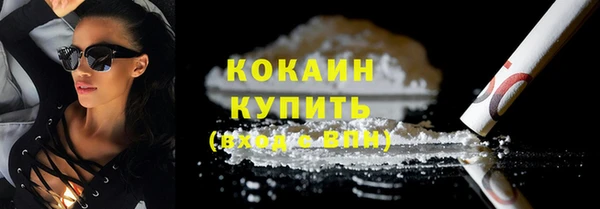 соль ск Бородино