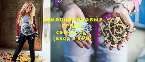 бошки Бугульма