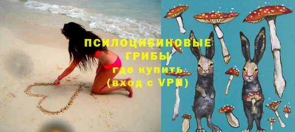 таблы Богородск
