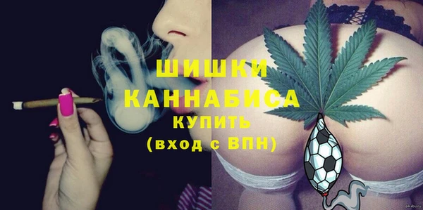 соль ск Бородино